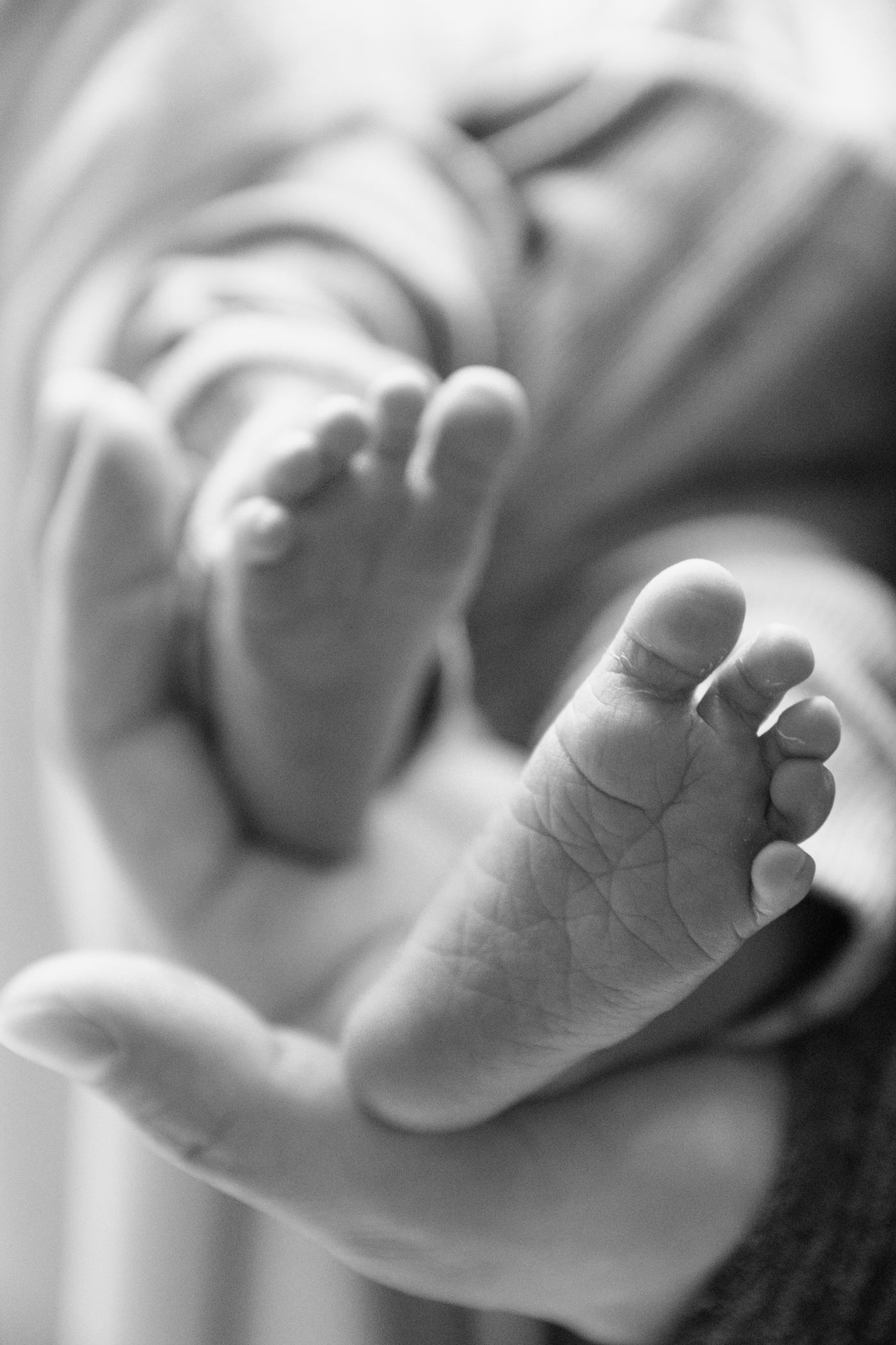 Pies de un bebé recién nacido sostenidos en las manos de sus padres